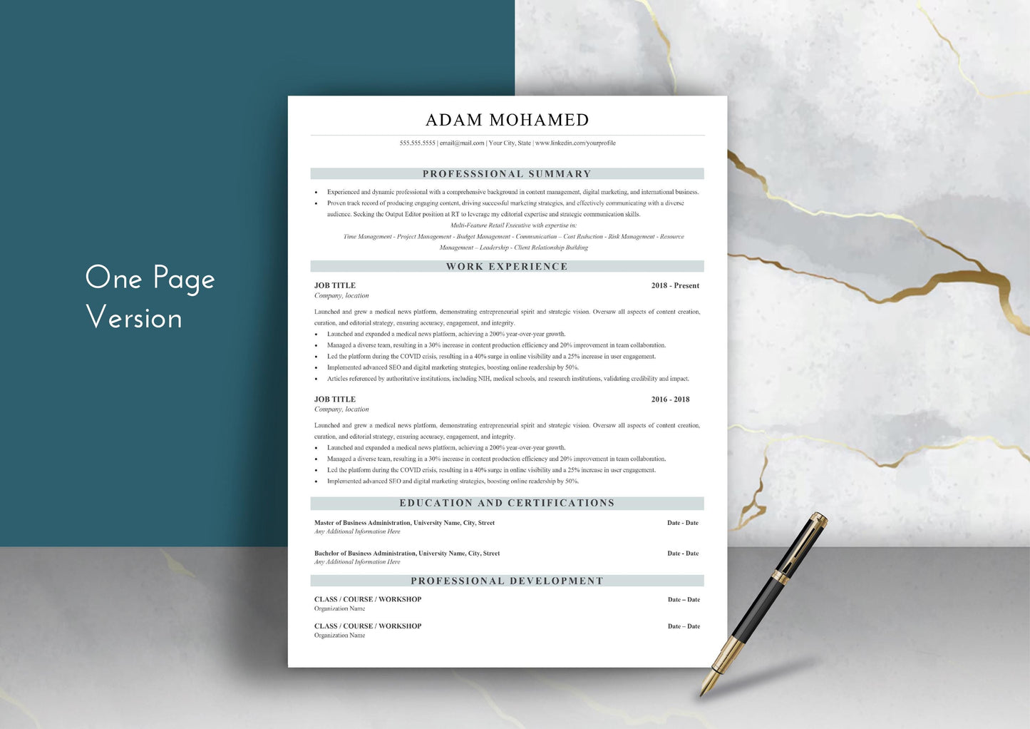 Executive MBA Resume Template - ATS Friendly, MS Word
